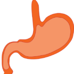 症状別【胃薬】の選び方、おすすめ胃薬